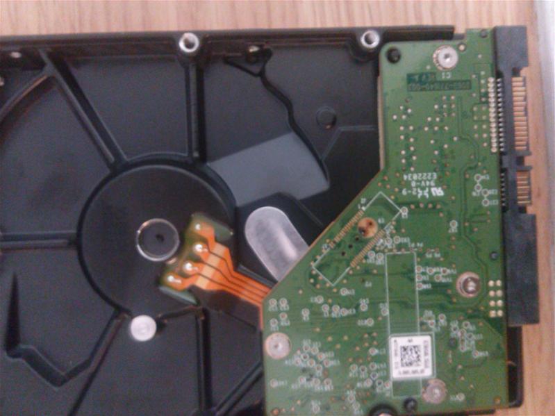 WD5000AAKX-753CA1 - 14-Aug-2011 - WD-WCAYUCW33057 - photo-2