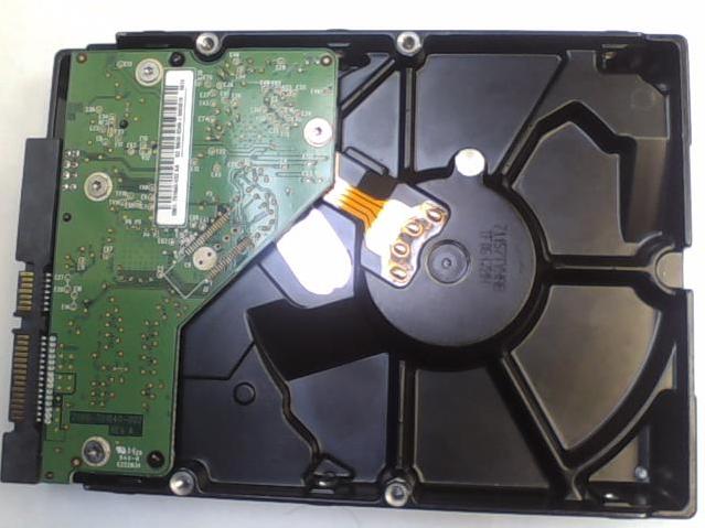 WD3200AAKS-00UU3A0 - 25-Jun-2010 - WD-WCAYU4722147 - photo-2