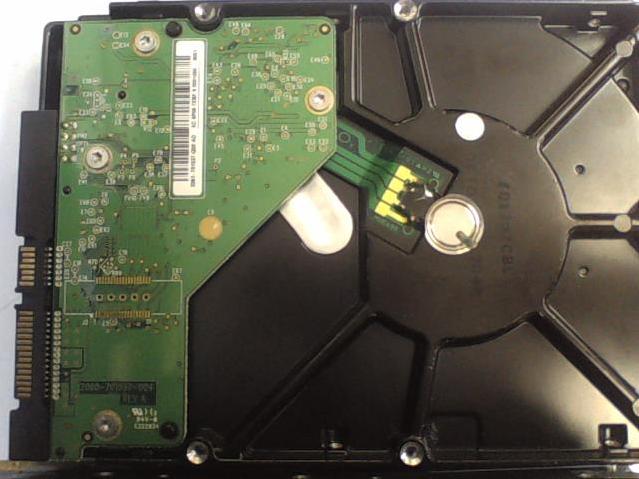 WD10EAVS-00D7B0 -  - WD-WCAU41440607 - photo-2