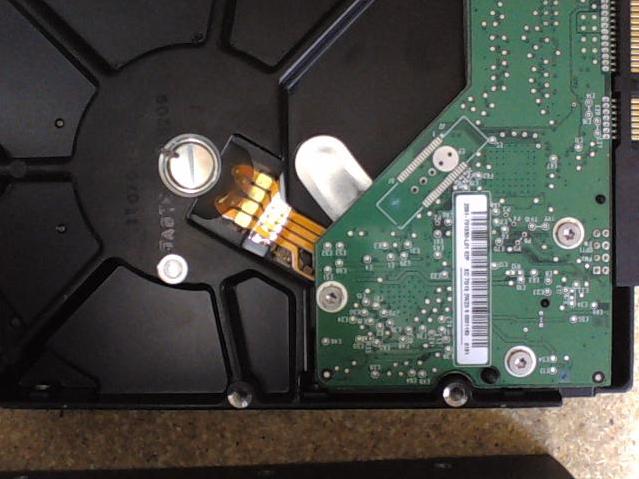 WD6400AAKS-22A7B2 - 10-Nov-2009 - WD-WCASY8956496 - photo-2