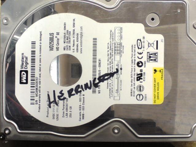 WD2500JS-00NCB1 - 24-May-2006 - WD-WCANK3929767 - photo-1