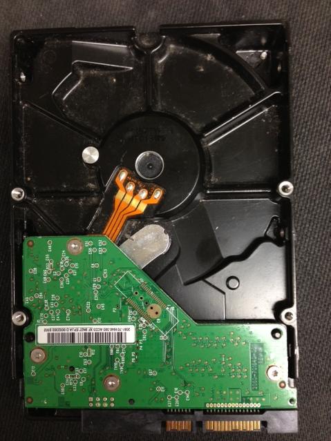 WD5000AVVS-63M8B0 - 04-Feb-2010 - WD-WCAV92663646 - photo-2